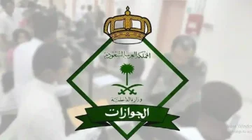 قرار إدارة الجوازات بشأن الوثيقة الأساسية يفرض تحديثًا إلزاميًا على جميع المقيمين